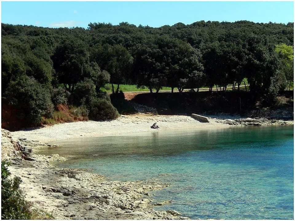 Sfinga Verudela V Pula Apartment